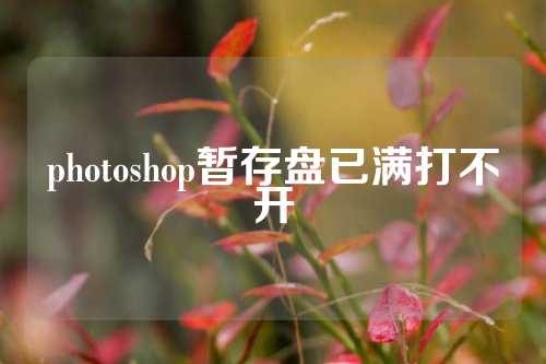 photoshop暂存盘已满打不开