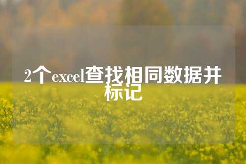 2个excel查找相同数据并标记