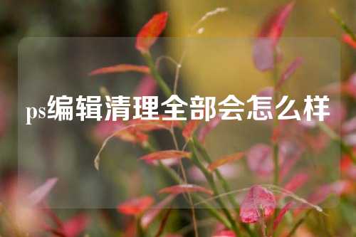 ps编辑清理全部会怎么样