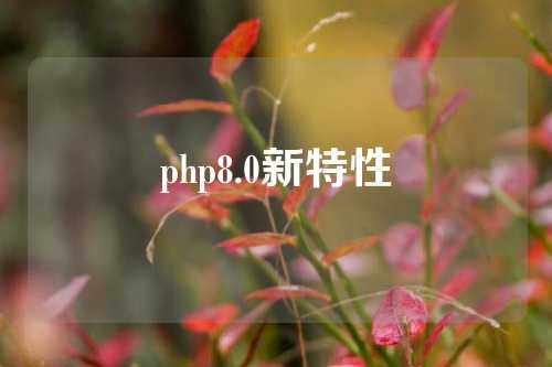 php8.0新特性