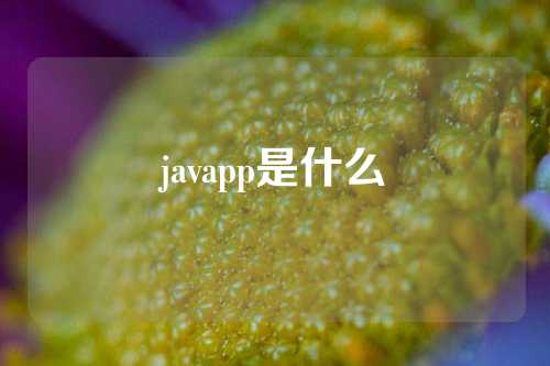 javapp是什么