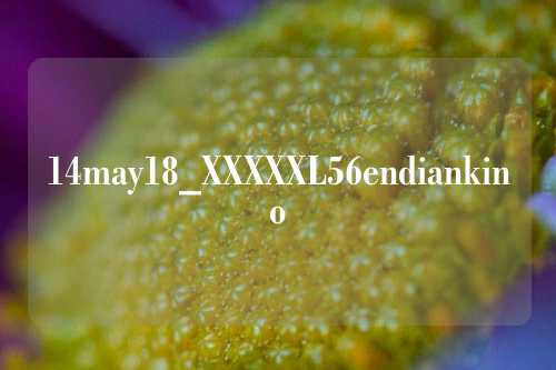 14may18_XXXXXL56endiankino