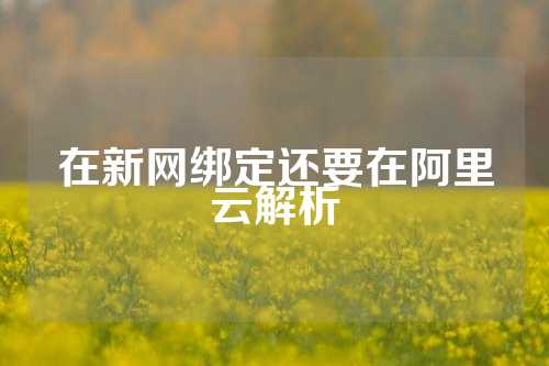 在新网绑定还要在阿里云解析