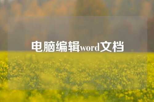 电脑编辑word文档