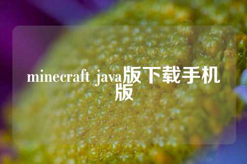 minecraft java版下载手机版