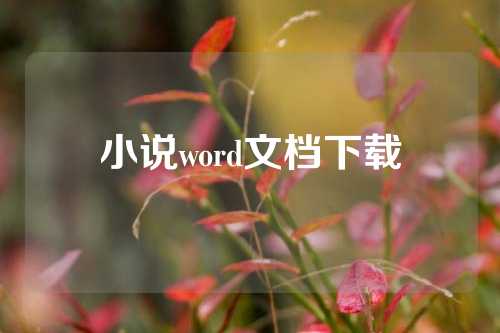 小说word文档下载