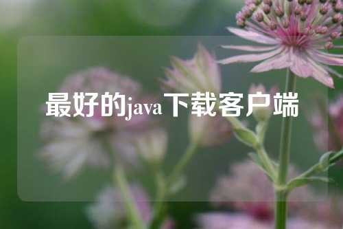 最好的java下载客户端