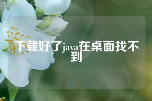 下载好了java在桌面找不到