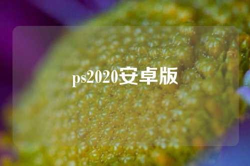 ps2020安卓版