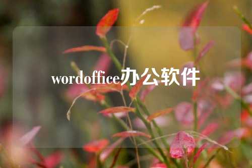 wordoffice办公软件