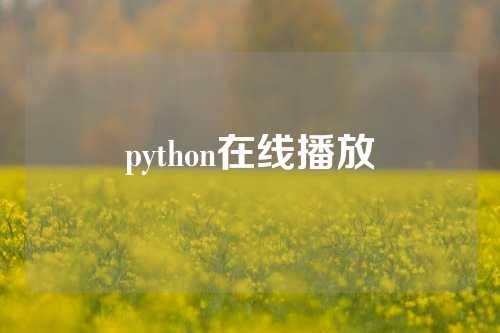 python在线播放