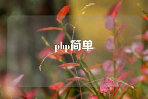 php简单