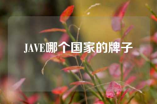 JAVE哪个国家的牌子