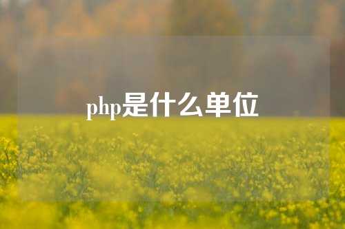 php是什么单位