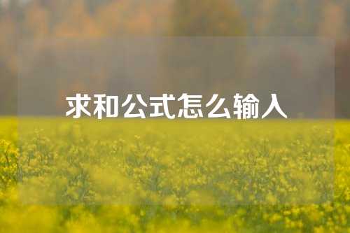 求和公式怎么输入