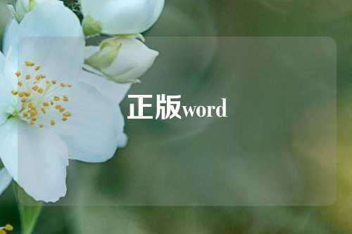 正版word