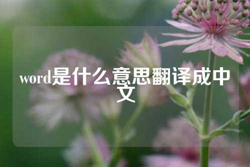 word是什么意思翻译成中文