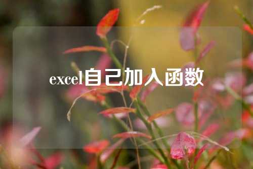 excel自己加入函数