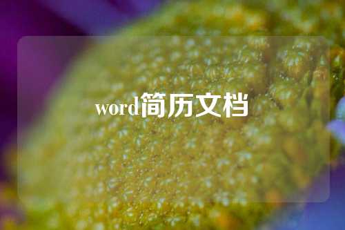 word简历文档