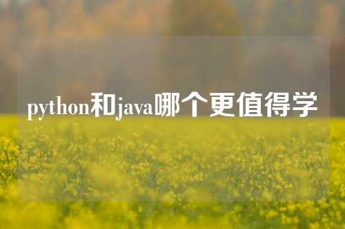 python和java哪个更值得学