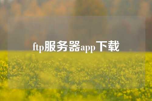 ftp服务器app下载