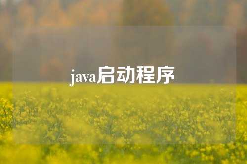 java启动程序