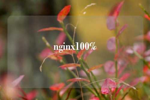 nginx100%