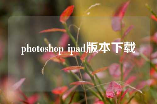 photoshop ipad版本下载