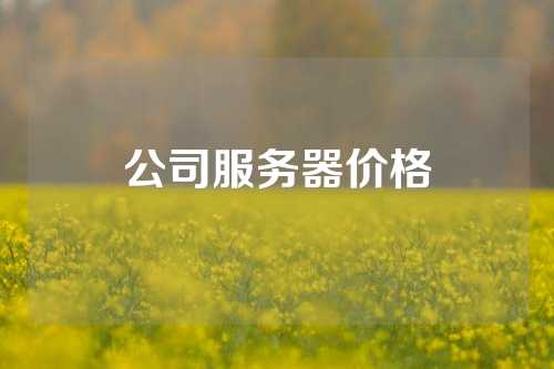 公司服务器价格