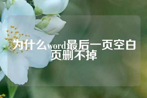 为什么word最后一页空白页删不掉