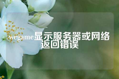 wegame显示服务器或网络返回错误