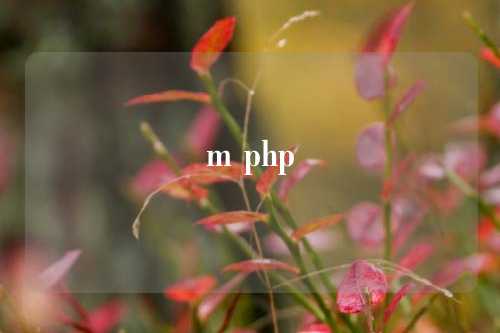 m php