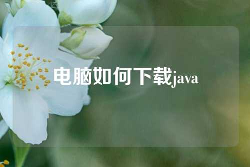 电脑如何下载java