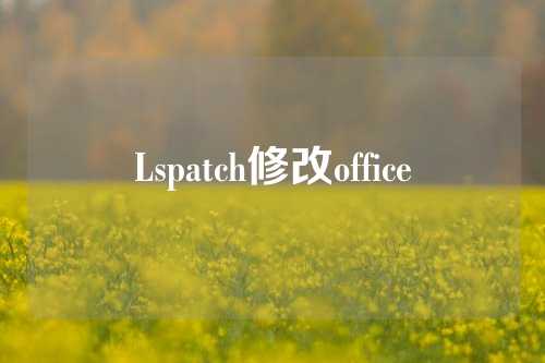 Lspatch修改office