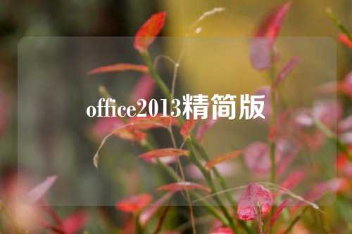 office2013精简版