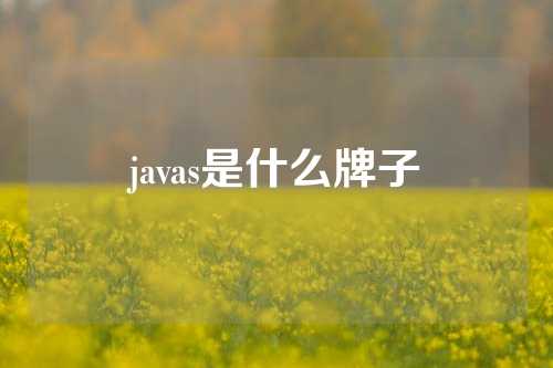 javas是什么牌子