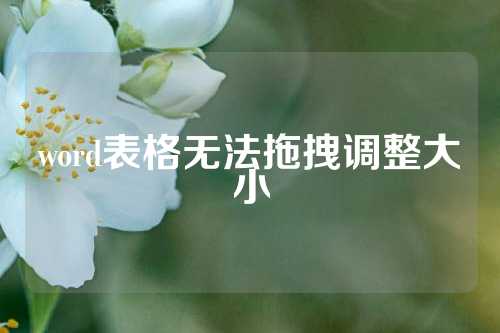 word表格无法拖拽调整大小