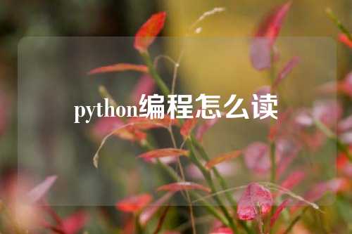 python编程怎么读