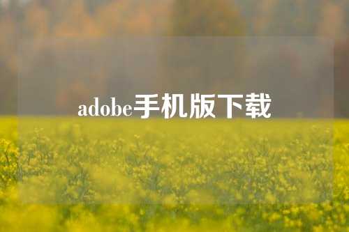 adobe手机版下载