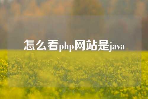 怎么看php网站是java