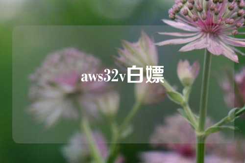 aws32v白嫖