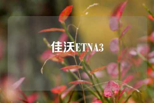 佳沃ETNA3