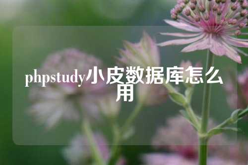 phpstudy小皮数据库怎么用