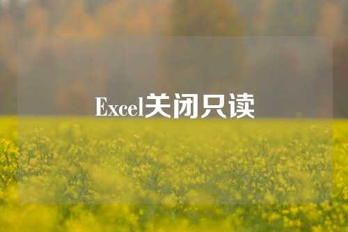 Excel关闭只读