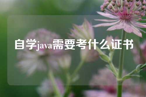 自学java需要考什么证书