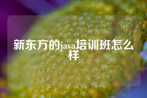 新东方的java培训班怎么样