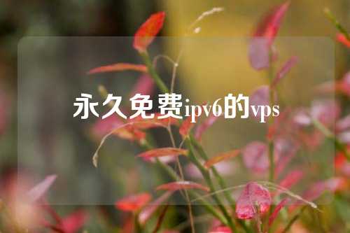 永久免费ipv6的vps