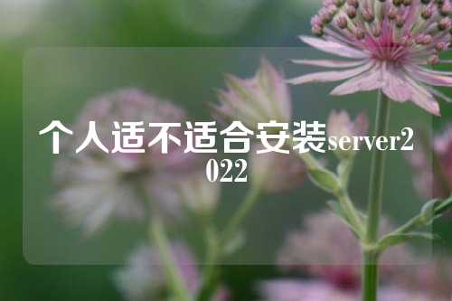 个人适不适合安装server2022