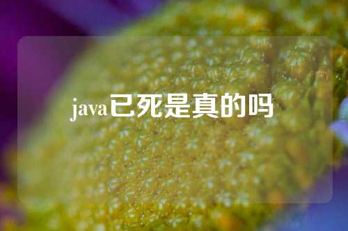 java已死是真的吗