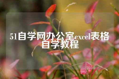 51自学网办公室excel表格自学教程